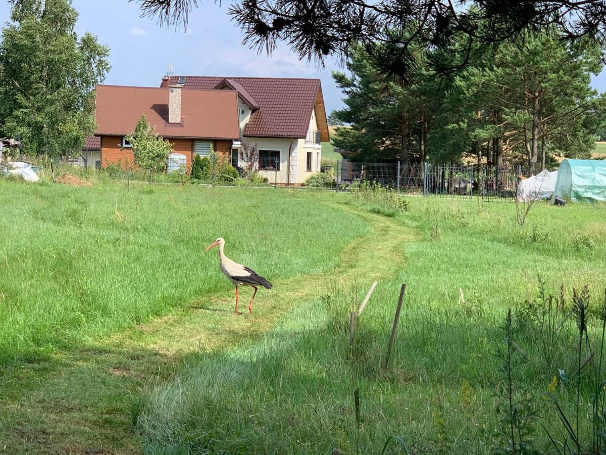 Ferienhaus Wypoczynkowy Letnisko Sosenkowo