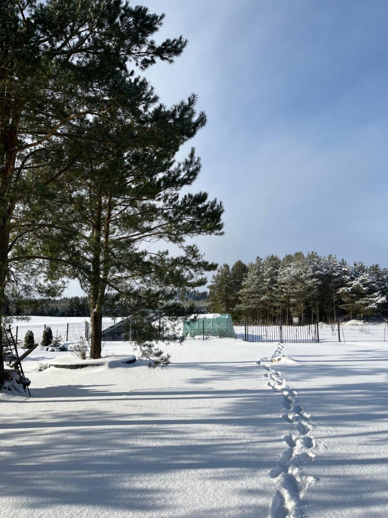 Ferienhaus Wypoczynkowy Letnisko Sosenkowo Suwałki