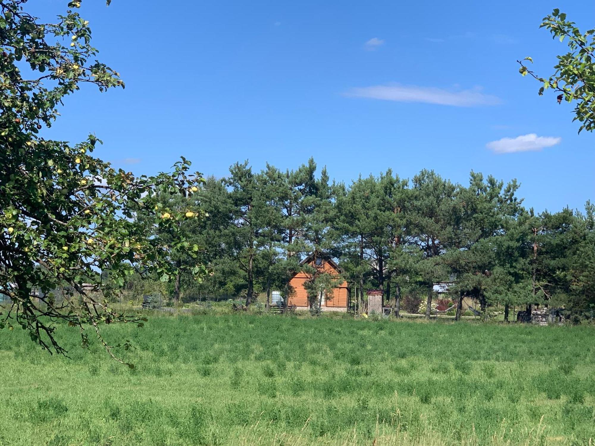 Ferienhaus Wypoczynkowy Letnisko Sosenkowo Suwałki